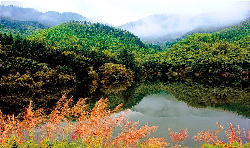 河南| 信阳 黄柏山旅游区