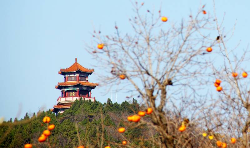 日照 浮来山 "游福山寿地,感天地灵气",浮来山风景区在民间又有"福来