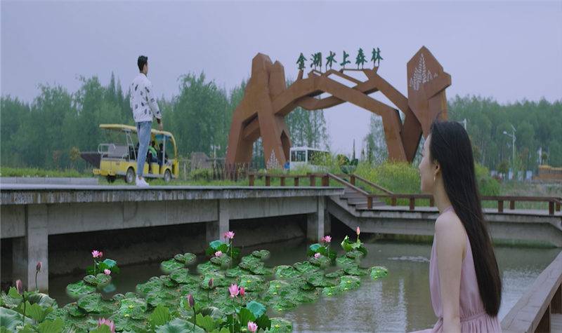 江苏| 淮安 金湖水上森林