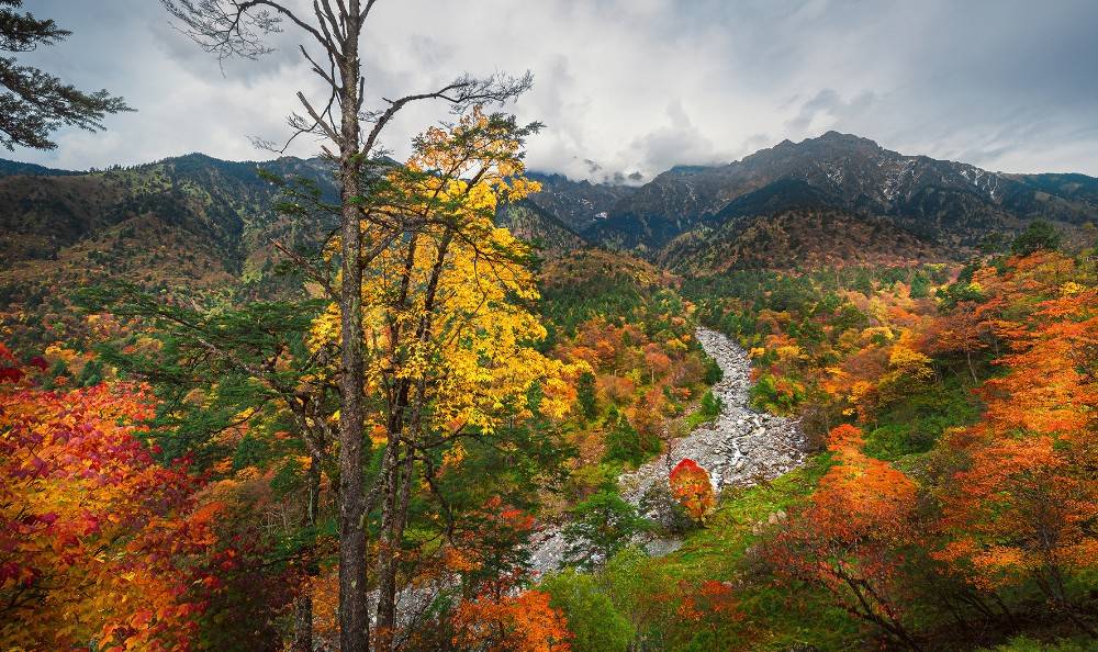 四川雅安二郎山喇叭河风景区