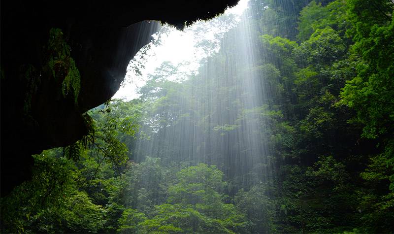 四川| 雅安 碧峰峡