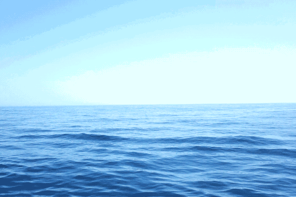 https://qiniu-cdn5.jinxidao.com/group1/2025/05/24/08/10/4859068310e87a1b34.gif 图片