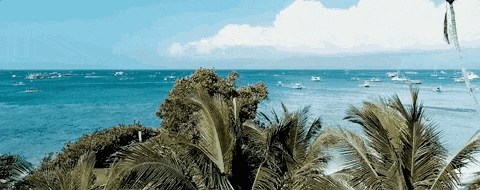 703e11bdadaf66b6024e4a840fdf6474_cca451f96a6c65ea1388a9323e09c15f-sz_863795.gif 微信图片_20221117082702.gif