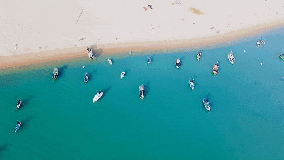 48d0a6ac1110a570717b9e3cac9989a4_654ee5627d3e071a93590c44908d7524-sz_400480.gif 1.gif