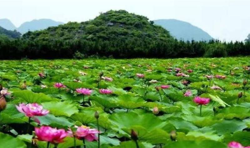 德安老山湾