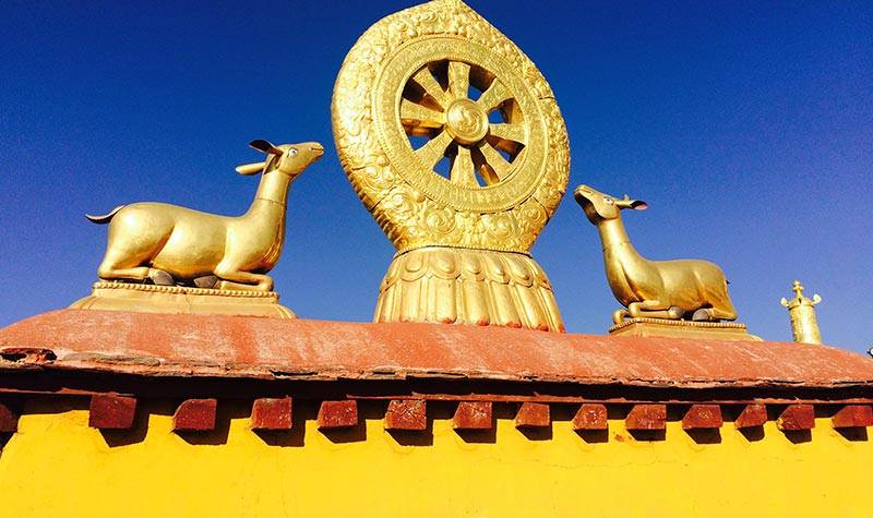 西藏| 拉萨 大昭寺